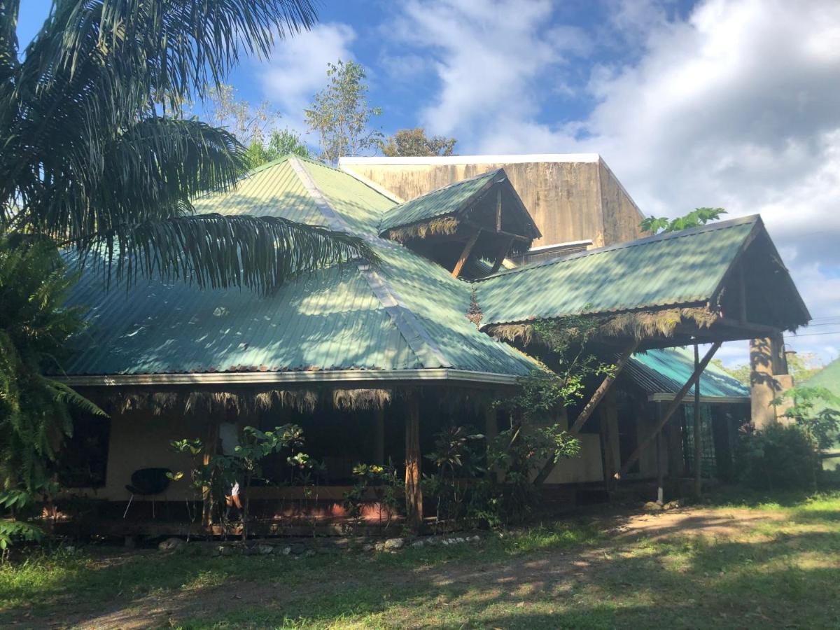 La Palapa Hut Nature Hostel ปัวร์โตคิมาเนซ ภายนอก รูปภาพ